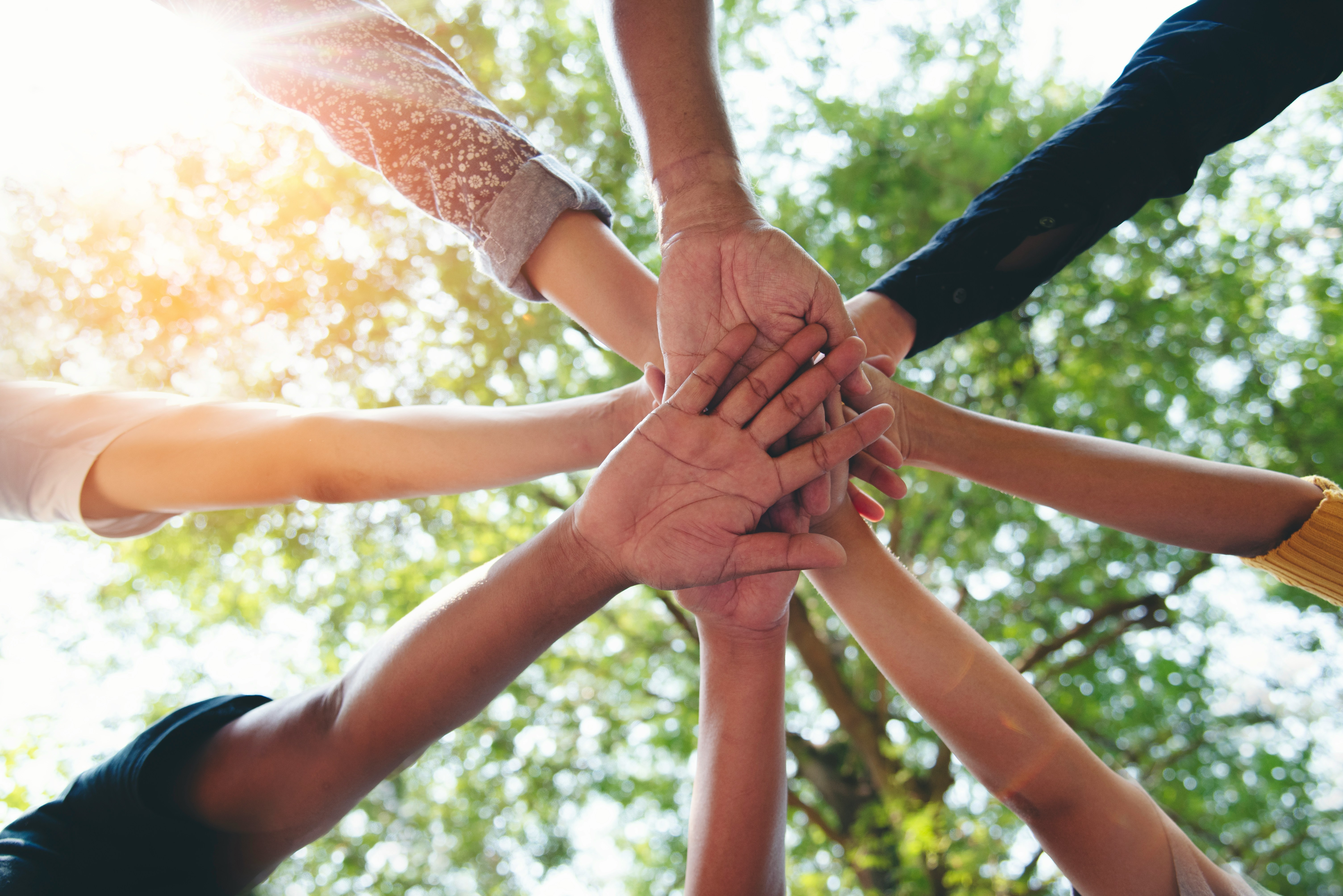 Why Families Choose Neighborhood Attendants